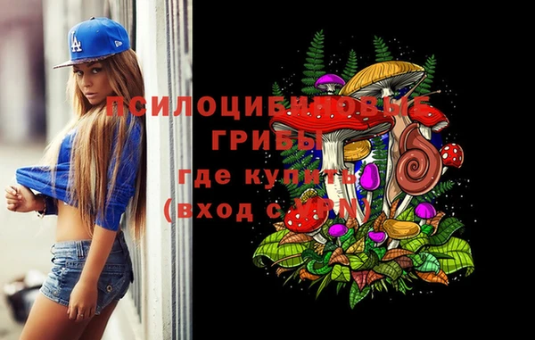 бошки Володарск