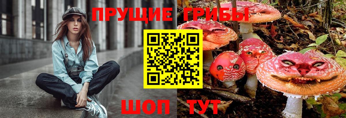 Псилоцибиновые грибы Psilocybine cubensis  Вход с VPN  Галлюциногенные грибы мицелий  Дедовск 