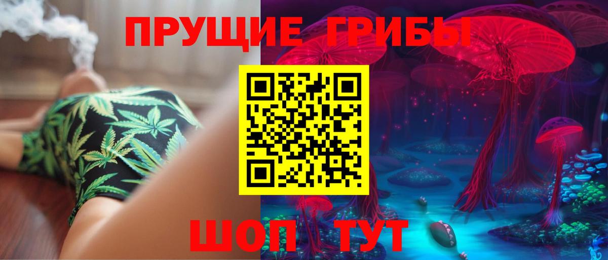 Галлюциногенные грибы Psilocybine cubensis  Дедовск 